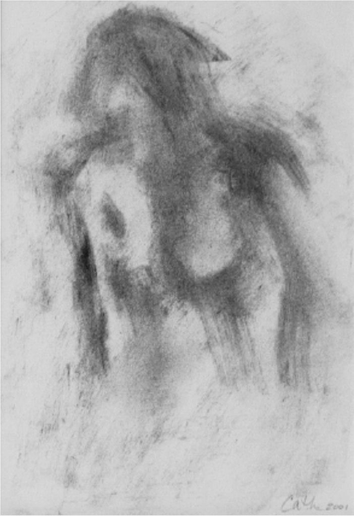 Figure Abstraction