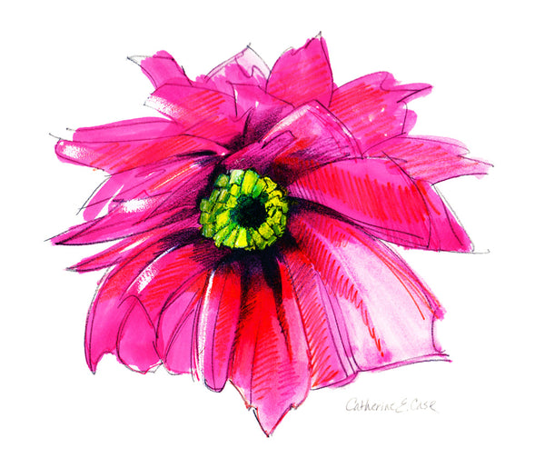 Magenta Flower
