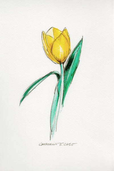 Yellow Tulip Flower